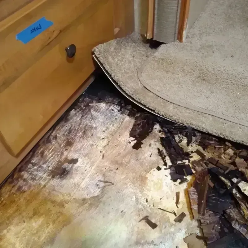 Wood Floor Water Damage in Norwood, OH